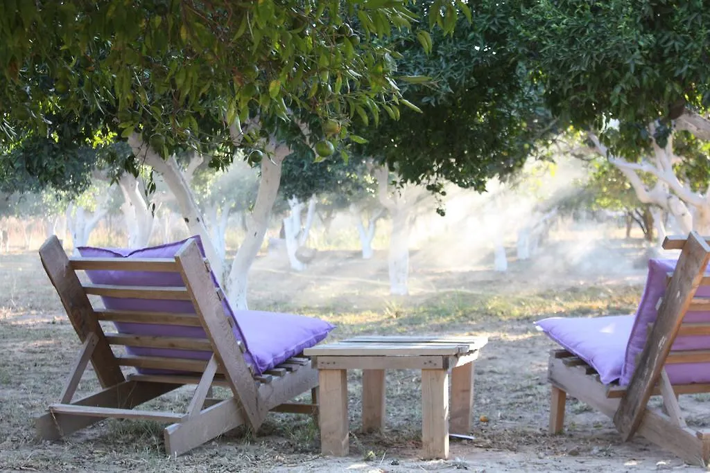 Parque de Campismo Bodrum Ecofarm Camping Turgutreis