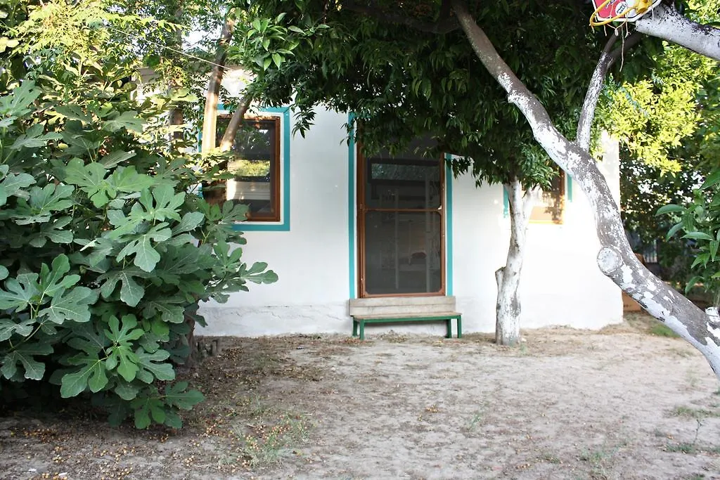 Bodrum Ecofarm Camping Turgutreis Turquia